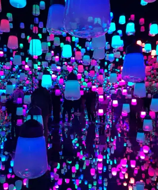 teamLab Borderless Museum Tokio